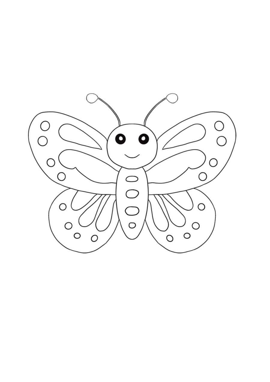 Butterfly 1